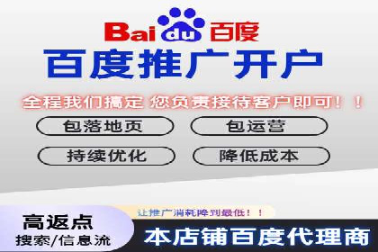 谷歌竞价案例：快速提升品牌影响力的广告策略